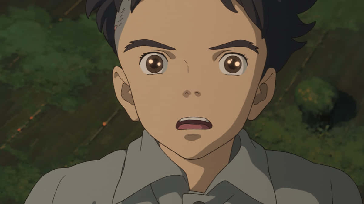 startled anime boy, young anime boy, wide brown eyes, SD Desktop Wallpaper