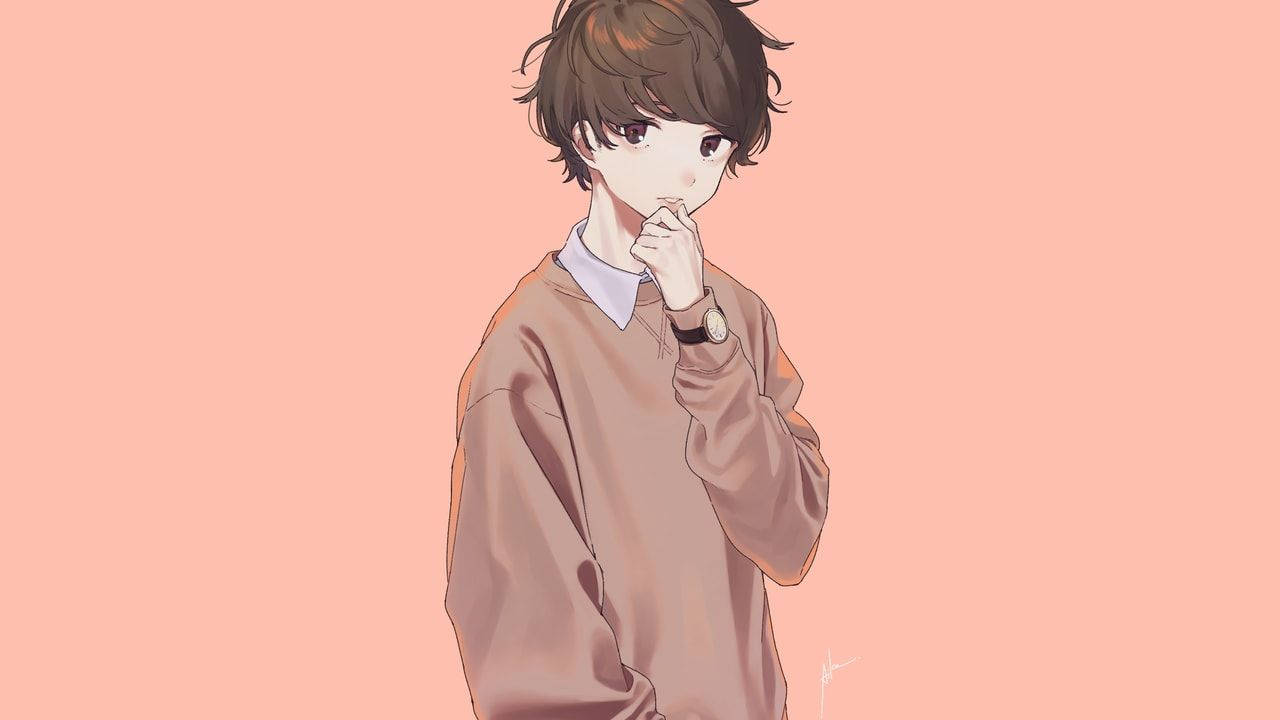 Cute Anime Boy, brown hair, thoughtful expression, HD Desktop Wallpaper