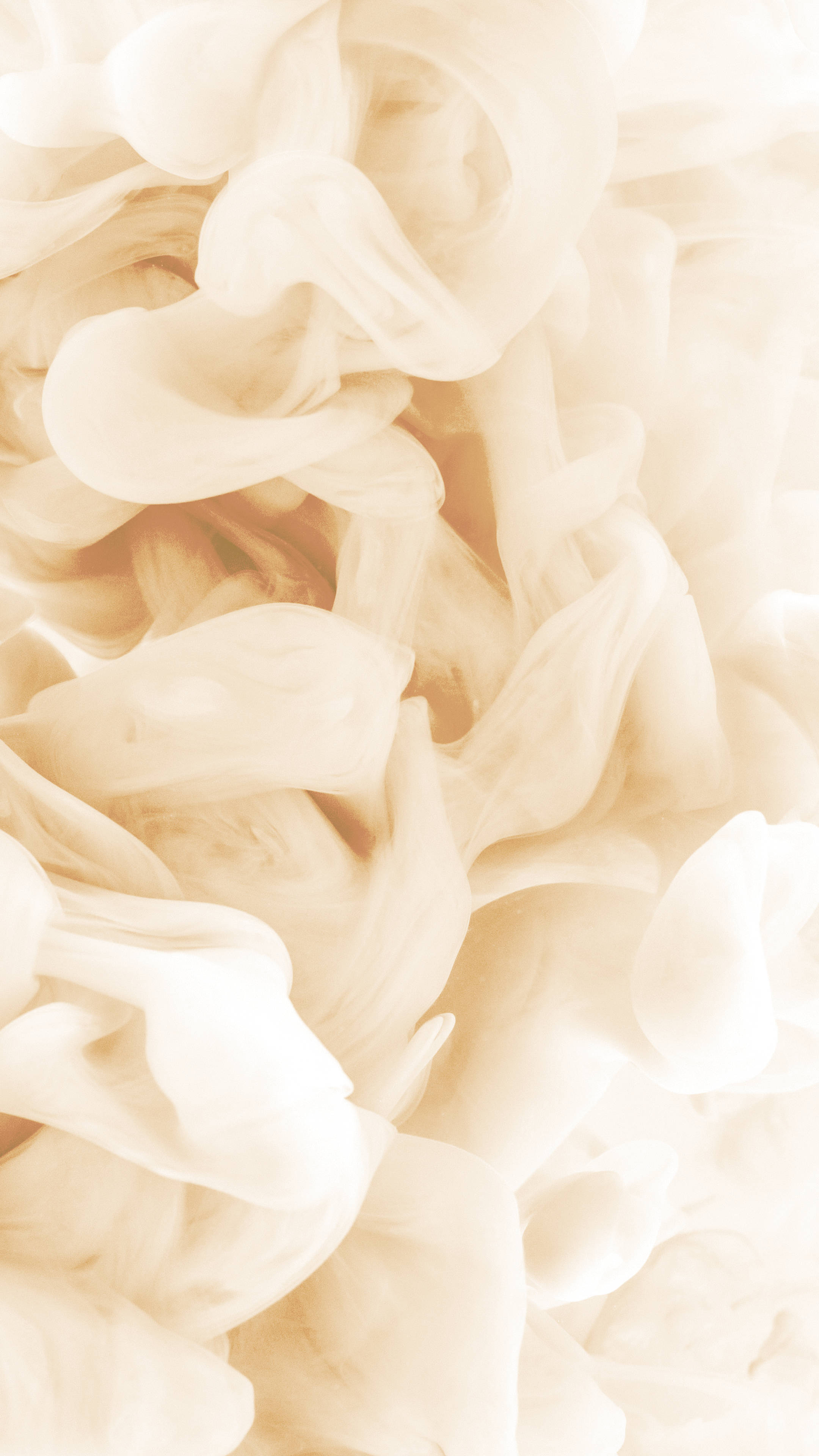 Cream Aesthetic, soft beige ink, dreamy abstract texture, 4K Phone Wallpaper
