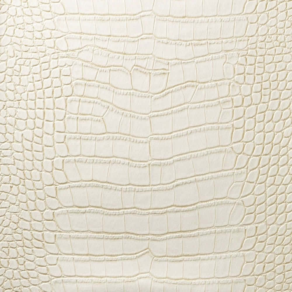 Cream Color, creamy white, crocodile skin, SD Desktop Wallpaper