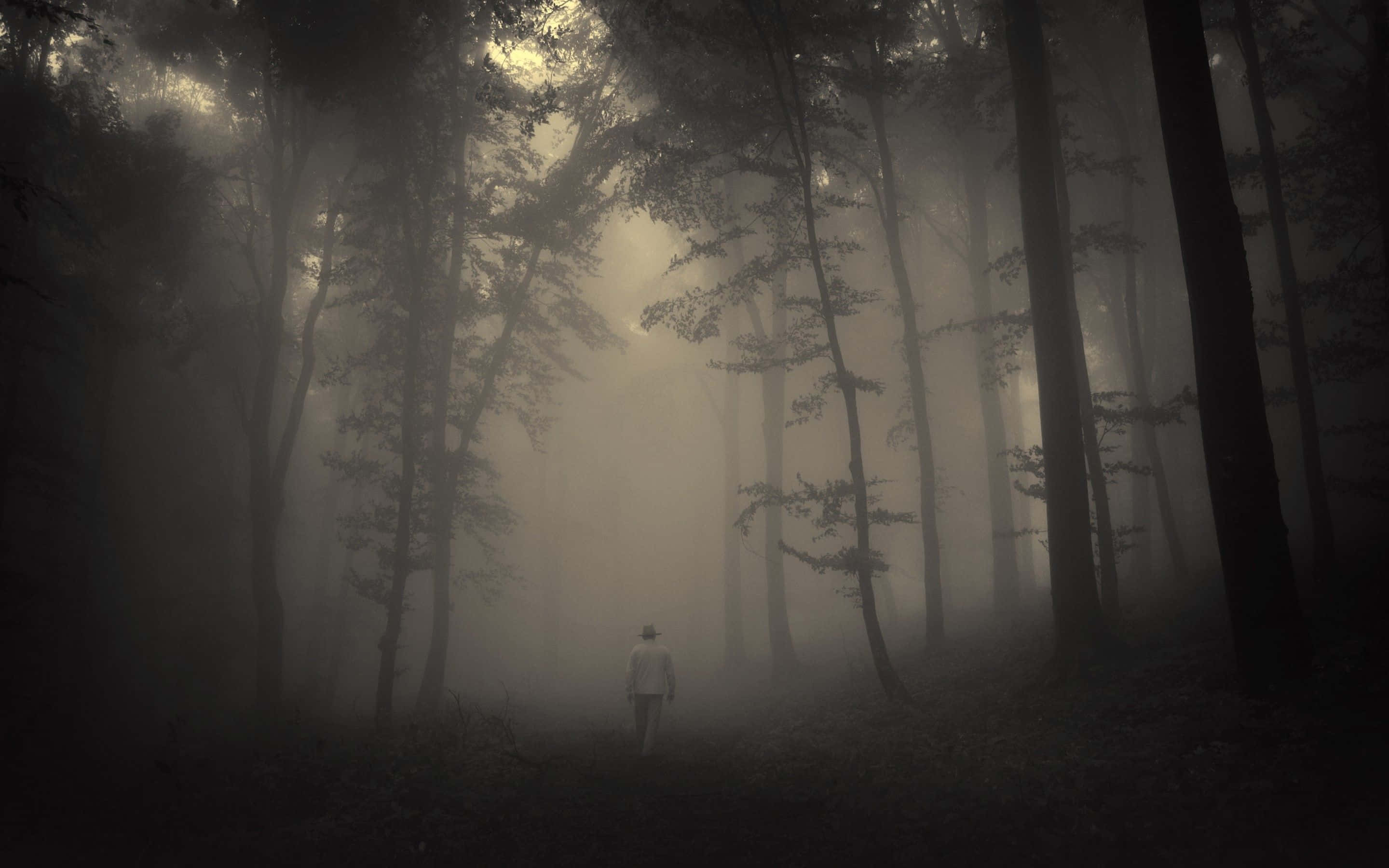 creepy aesthetic, misty forest, lone figure, 2K Desktop Wallpaper