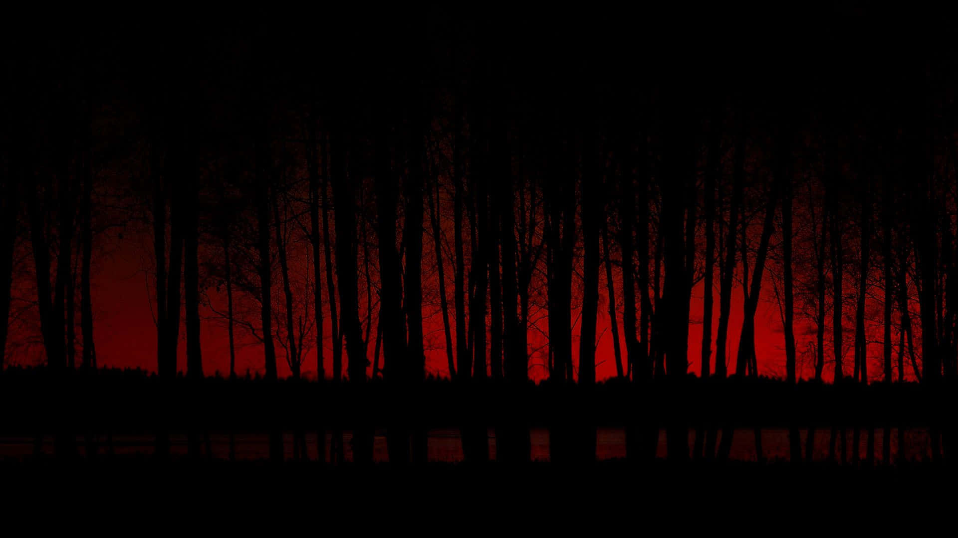 blood red twilight sky, silhouetted trees, calm water, Full HD Desktop Wallpaper