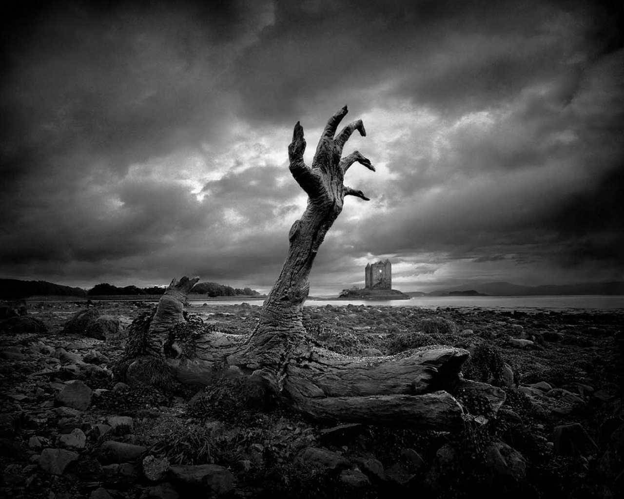 gnarled tree trunk, reaching hand, rocky shore, HD Desktop Wallpaper