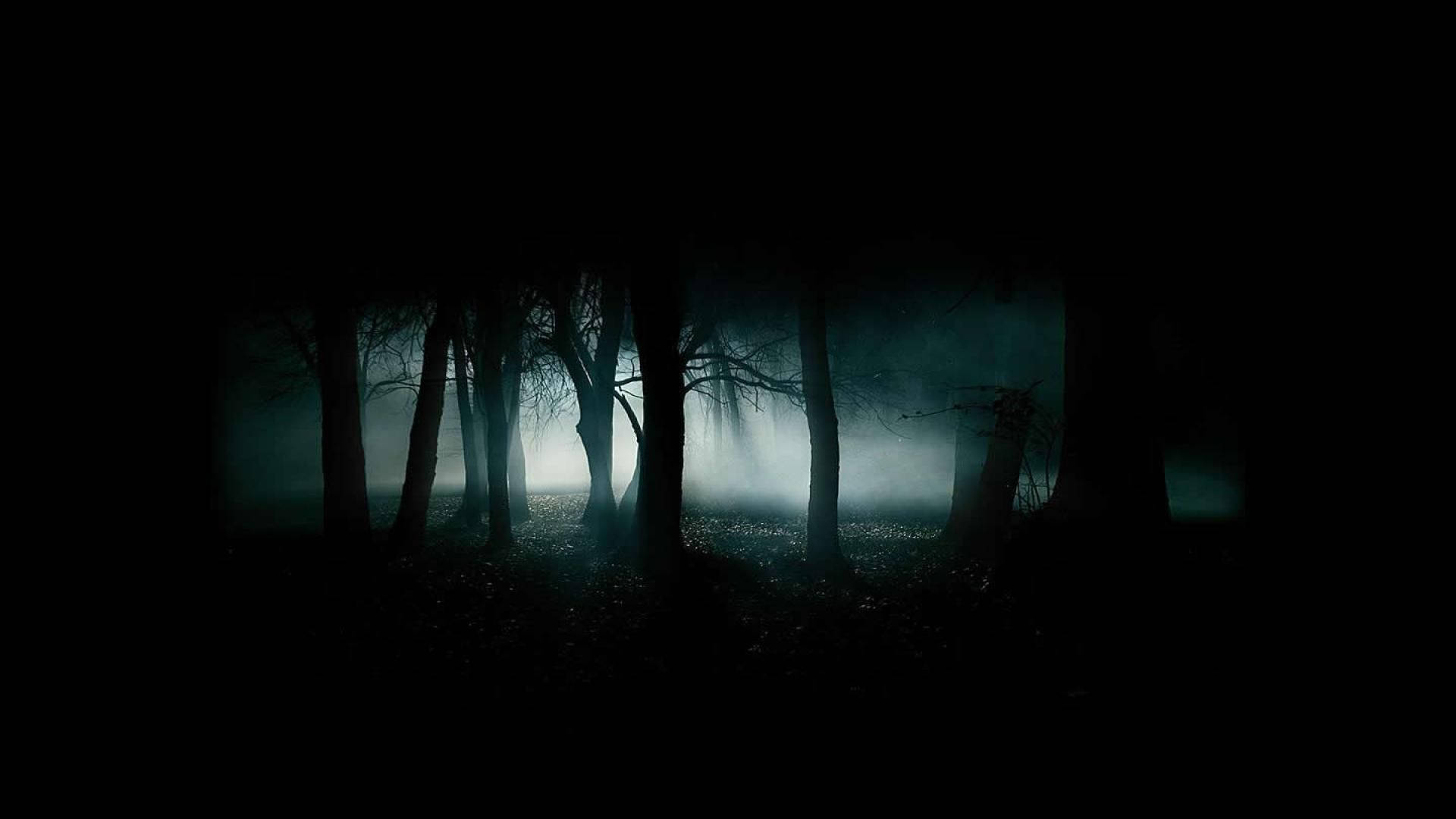 eerie blue light, misty forest, silhouetted trees, Full HD Desktop Wallpaper