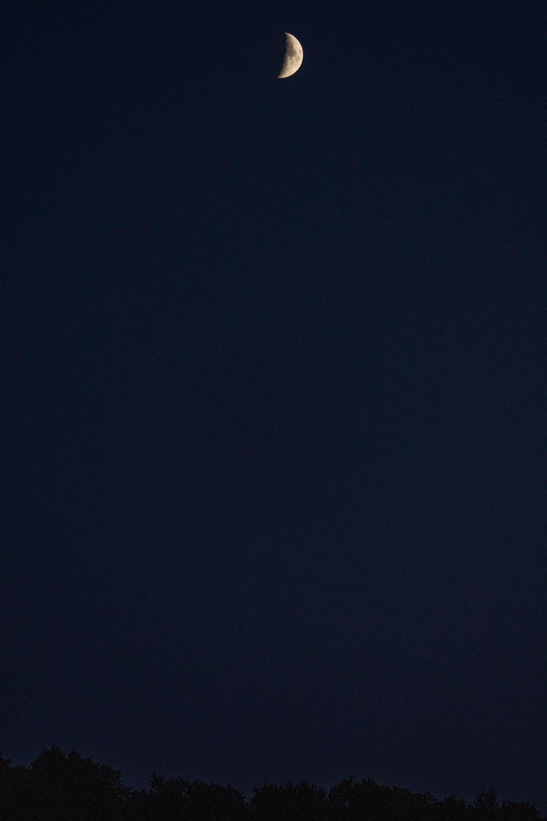 crescent moon, deep indigo night sky, dark treeline, 2K Phone Wallpaper