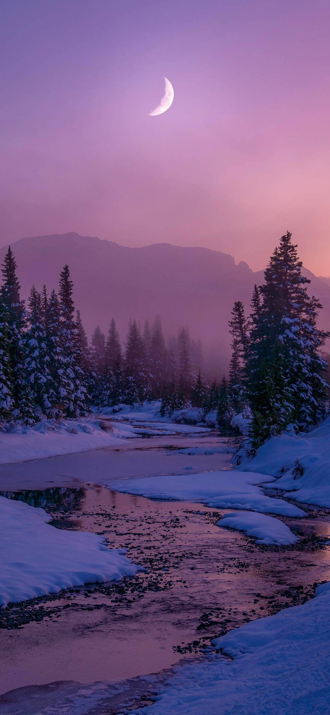 crescent moon, purple twilight sky, snow-covered pines, Full HD Phone Wallpaper