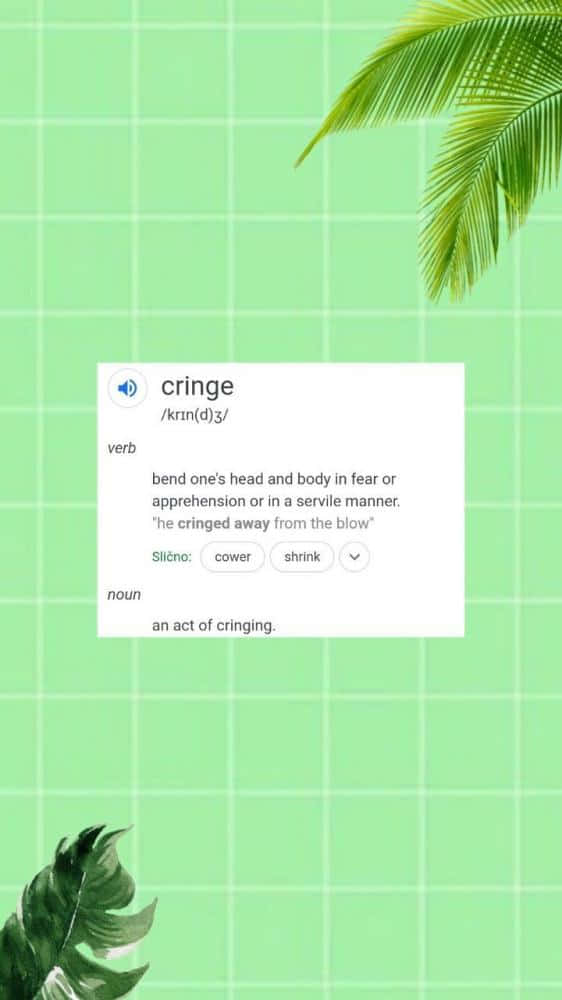mint green grid background, tropical leaves, dictionary definition, SD Phone Wallpaper