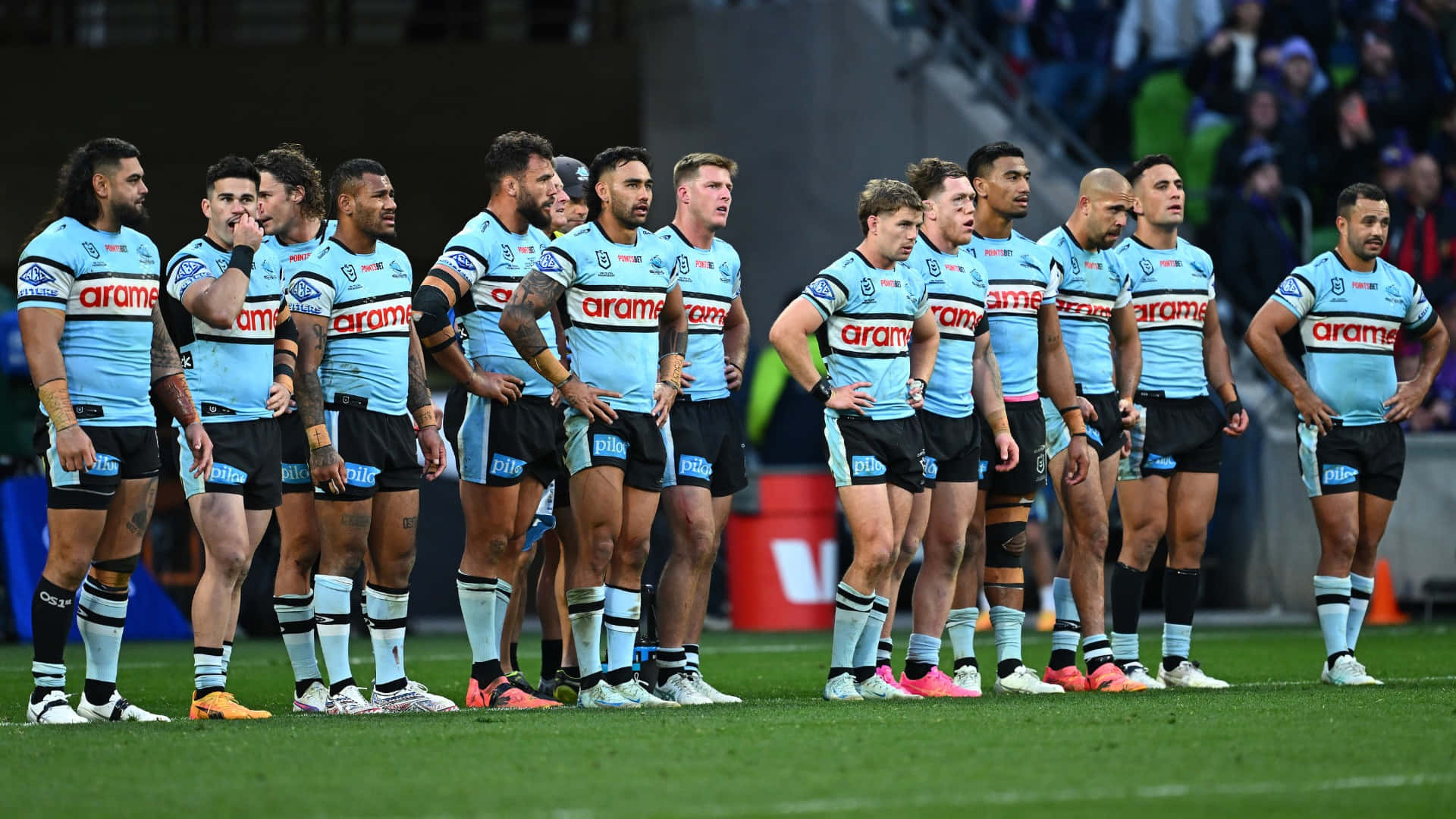 Cronulla Sharks, light blue jerseys, green field, Full HD Desktop Wallpaper