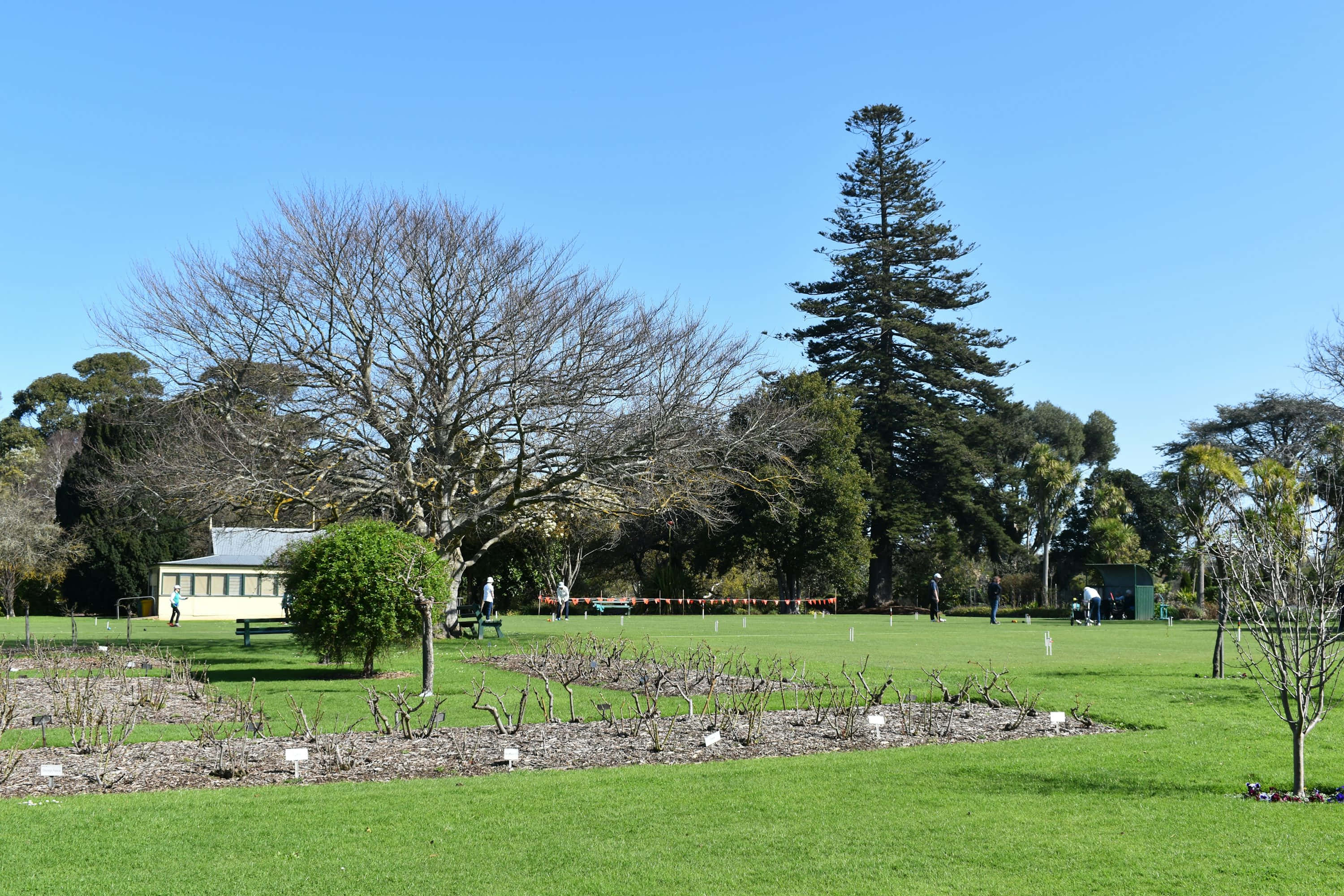 sunny day, park, manicured green lawns, 2K Desktop Wallpaper