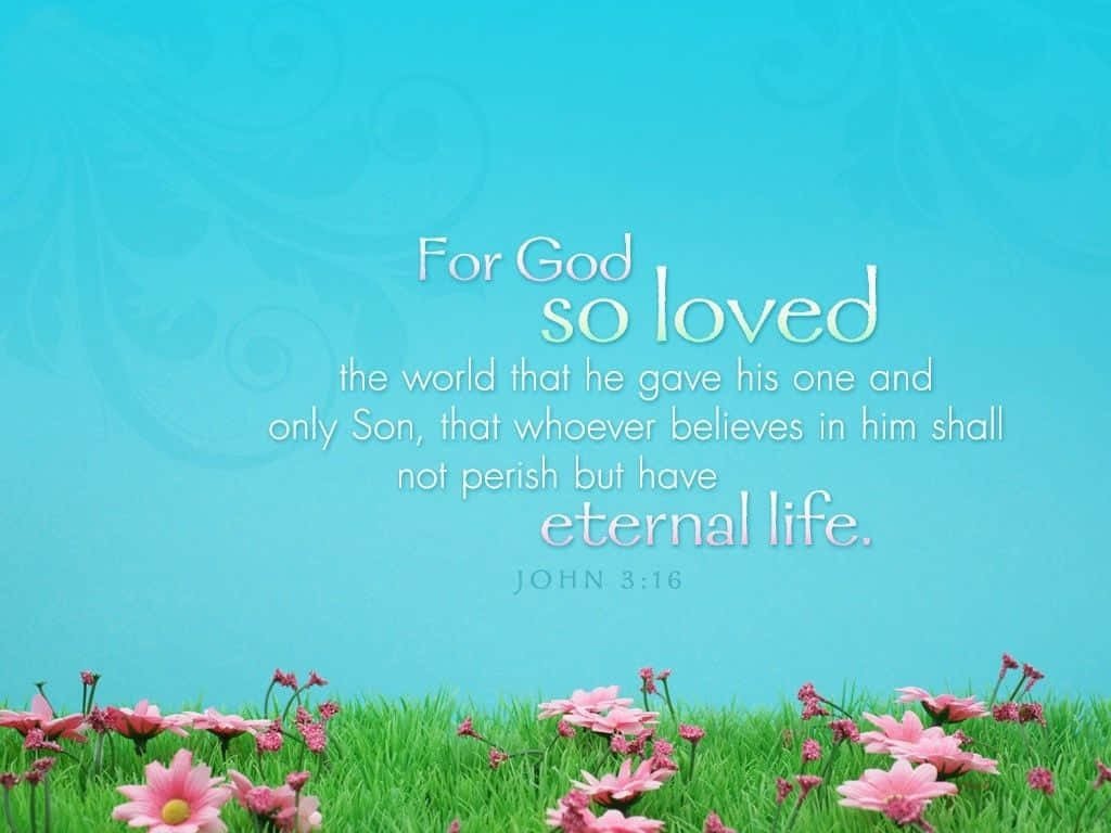 Crosscards Computer, John 3:16, turquoise background, SD Desktop Wallpaper
