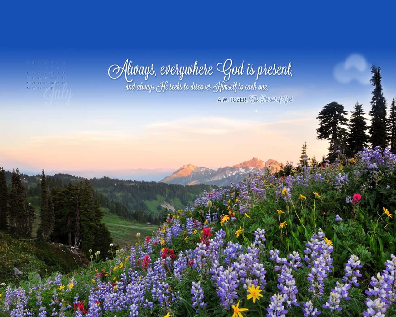 Crosscards Computer, lupine flowers, mountain slope, HD Desktop Wallpaper