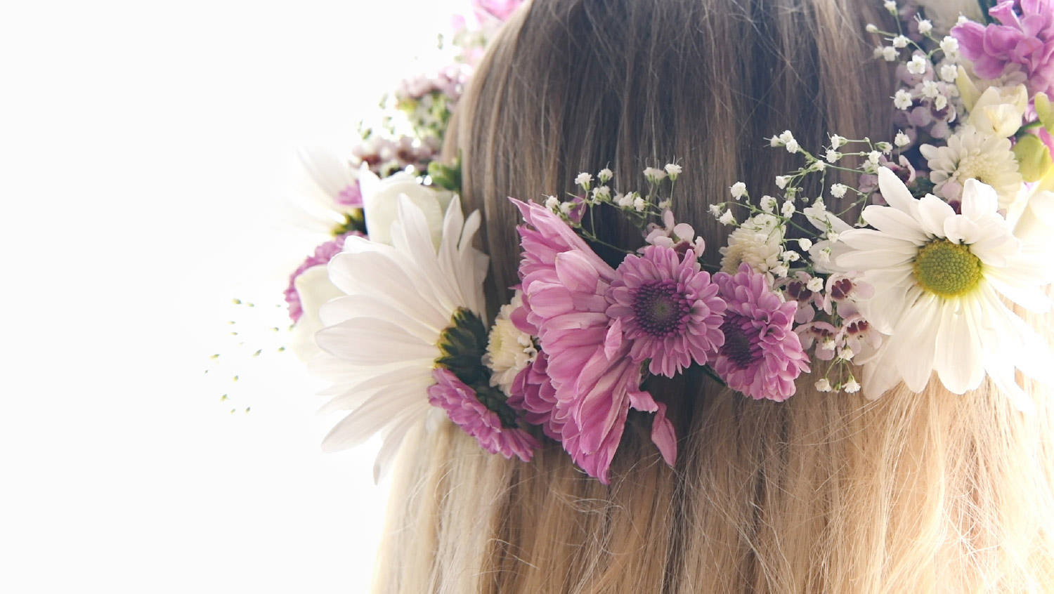 whimsical dainty flower crown, pink and white daisies, baby's breath, HD Desktop Wallpaper