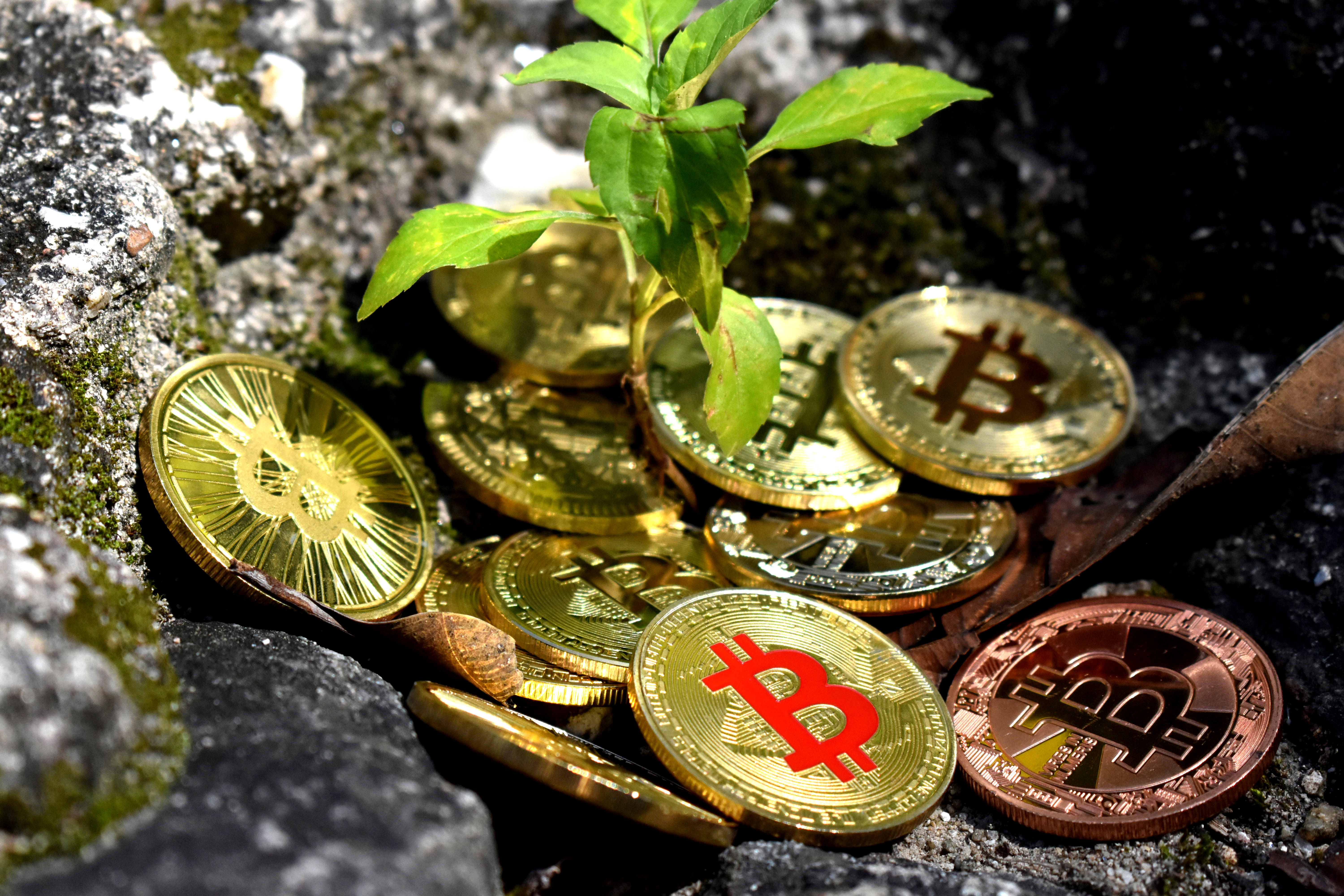 Cryptocurrency, golden Bitcoin coins, copper Bitcoin coins, 5K Desktop Wallpaper