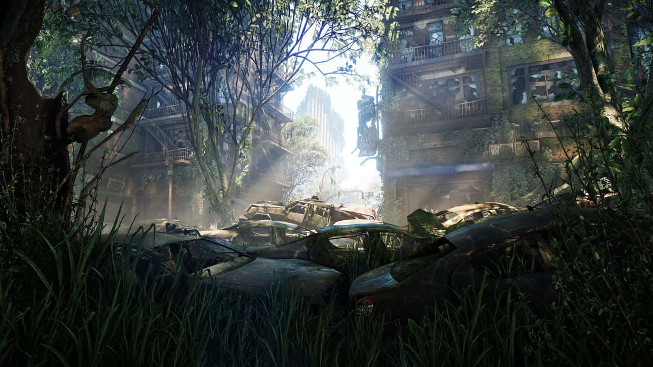 Crysis 3, City, Sunlight, HD Desktop Wallpaper