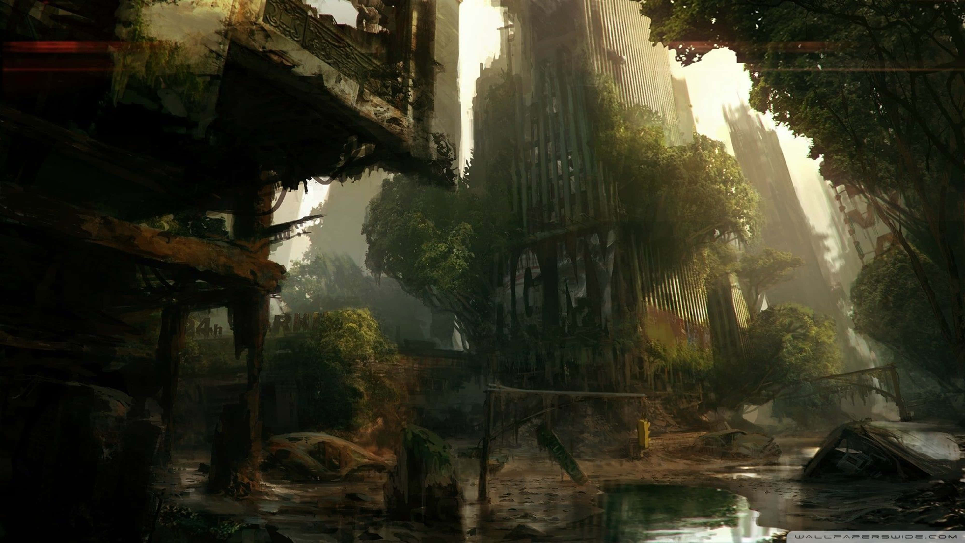 Crysis 4K, Sunlight, towering trees, 4K Desktop Wallpaper