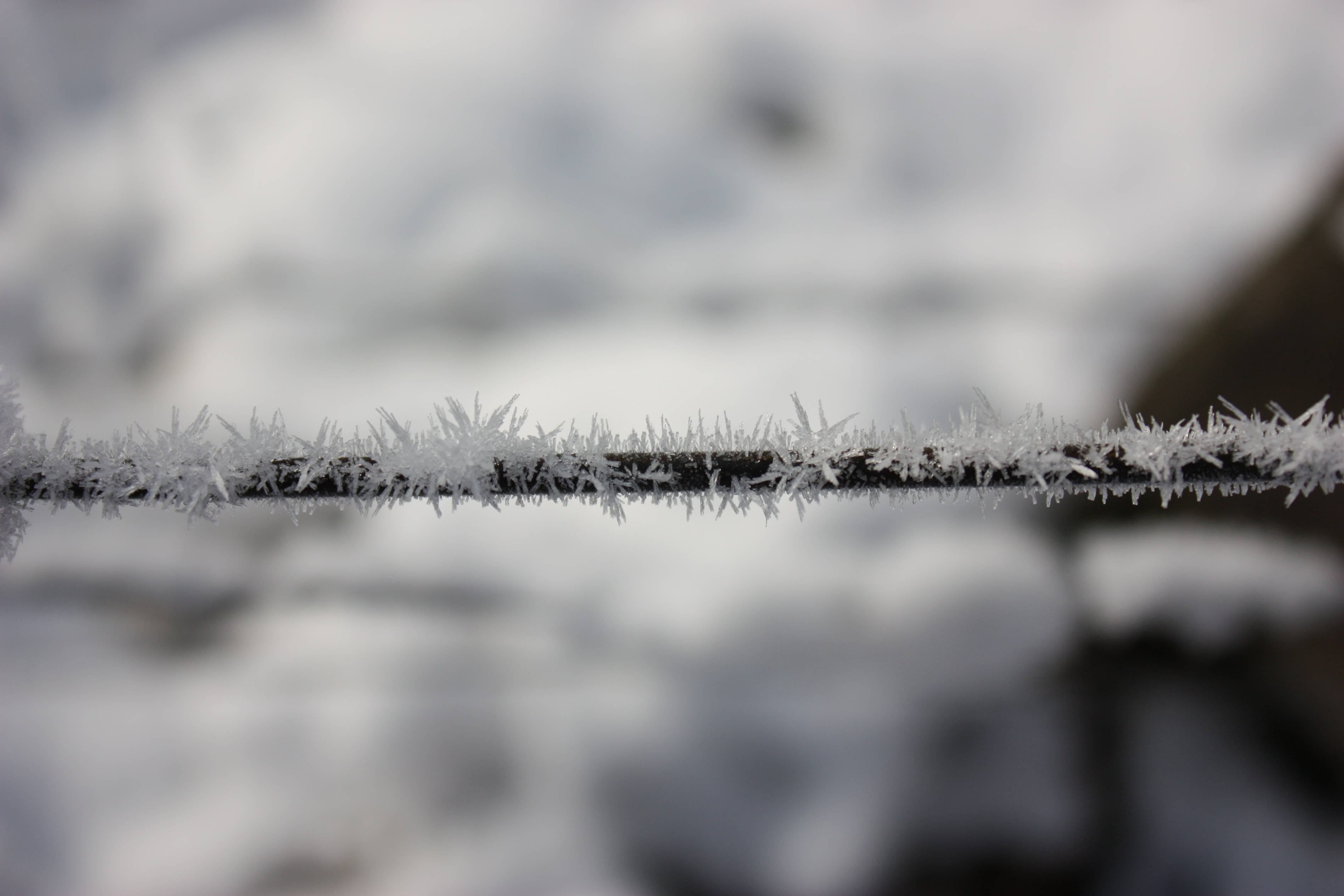crystal frost, wire, frost crystals, 4K Desktop Wallpaper