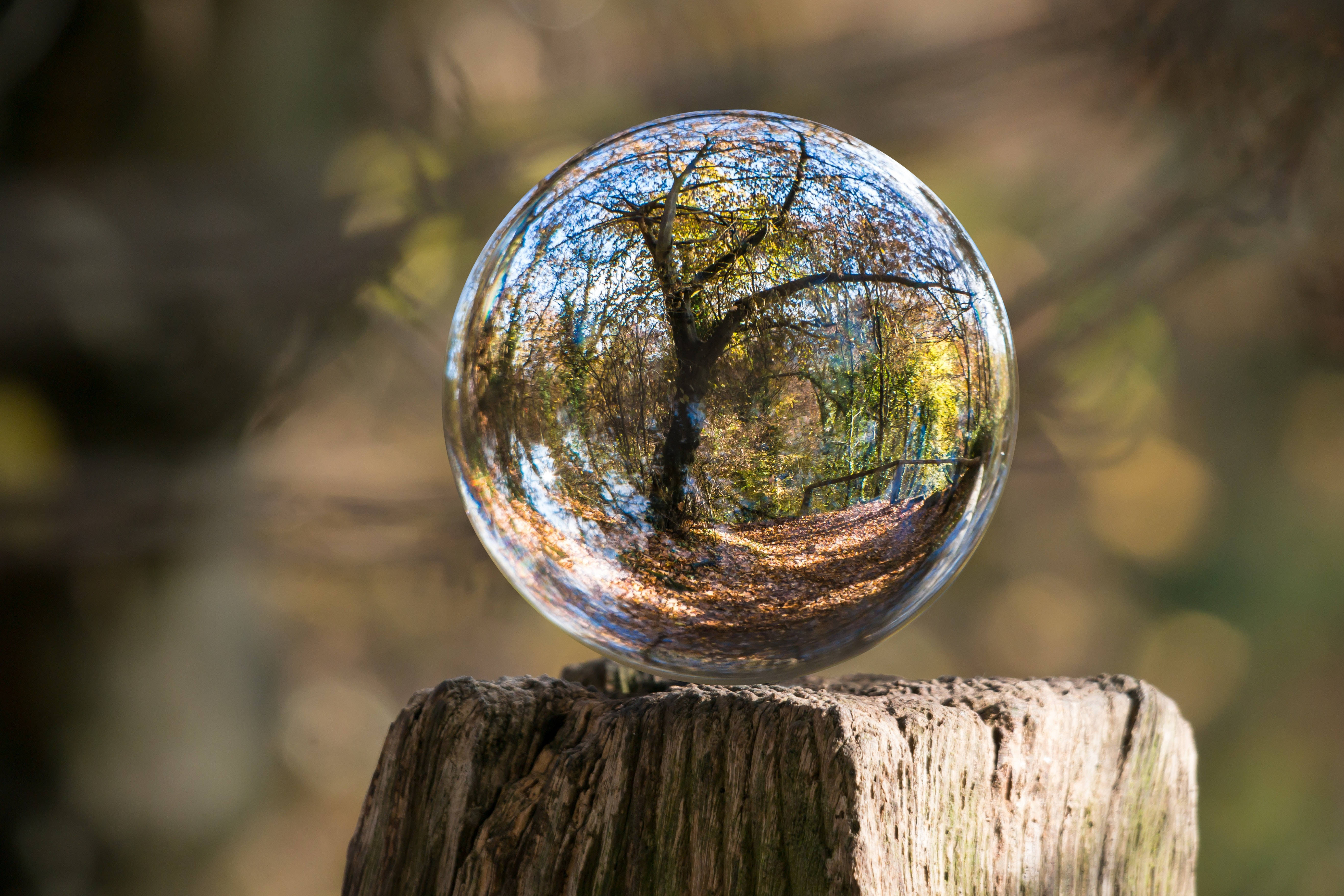 big 3d desktop crystal ball, clear glass sphere, weathered wooden stump, 5K Desktop Wallpaper