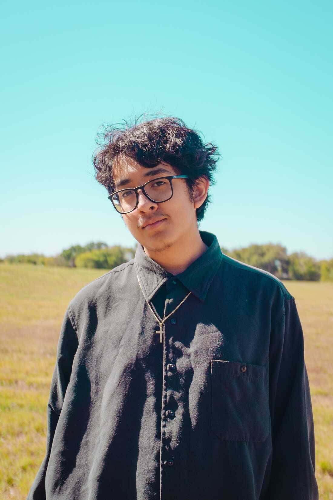 Cuco, sunlit field, clear blue sky, HD Phone Wallpaper