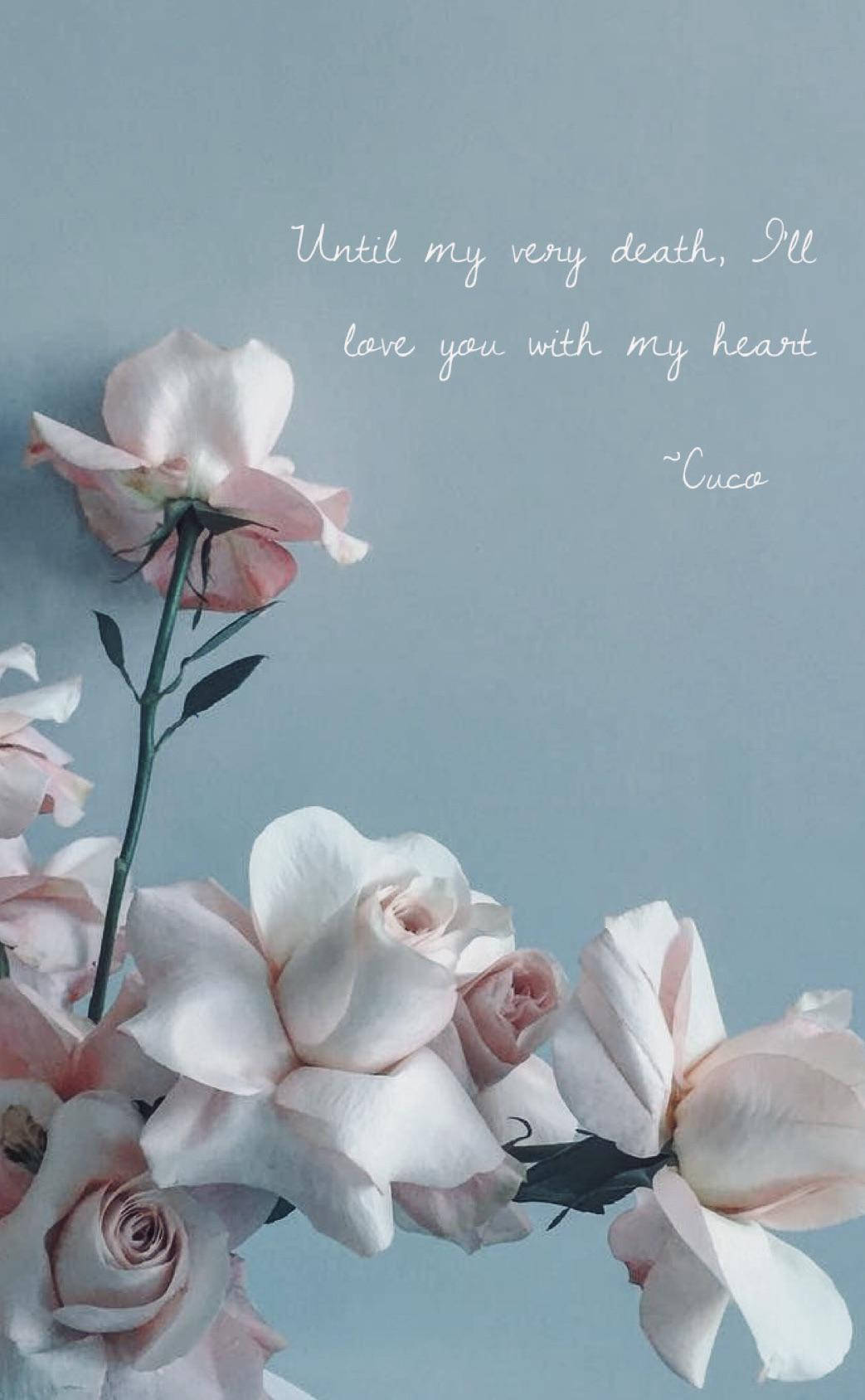 Cuco, soft pink roses, muted blue background, HD Phone Wallpaper