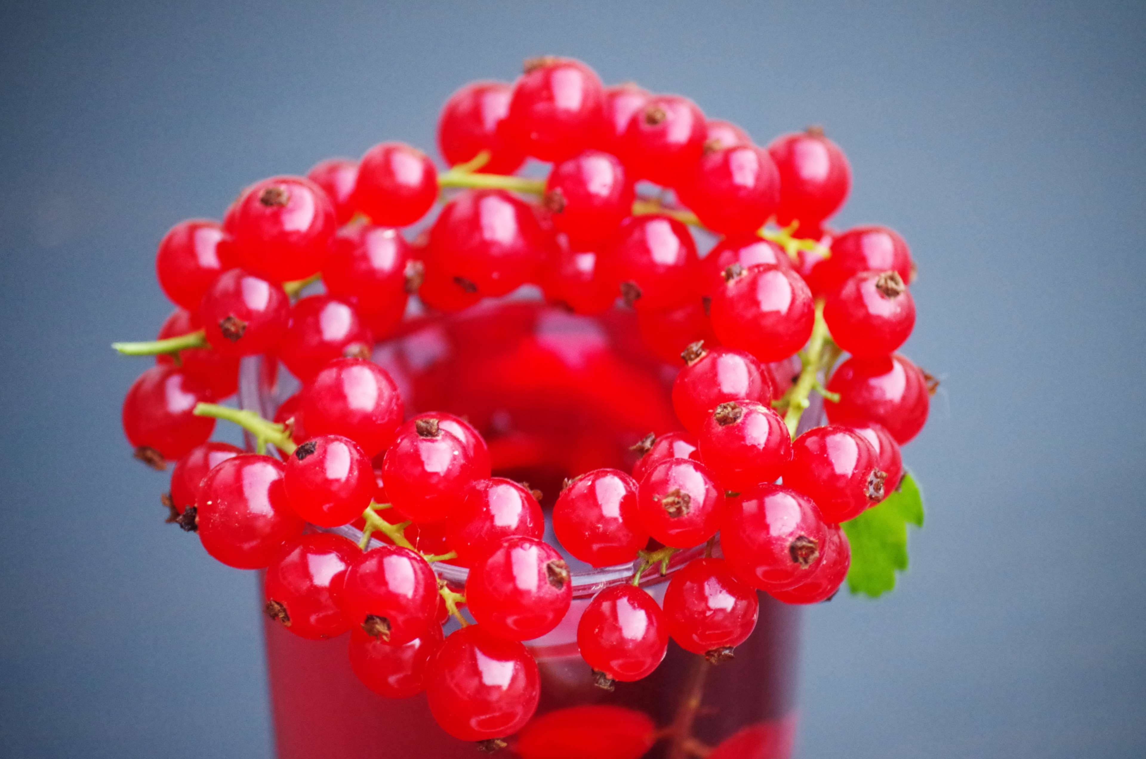 red currant fruits, glass drink, vibrant red currants, 4K Desktop Wallpaper