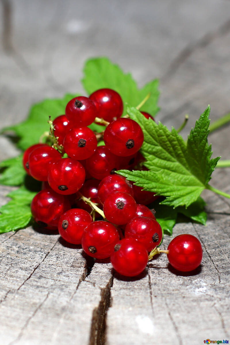 red currants, green leaves, weathered wooden surface, SD Phone Wallpaper