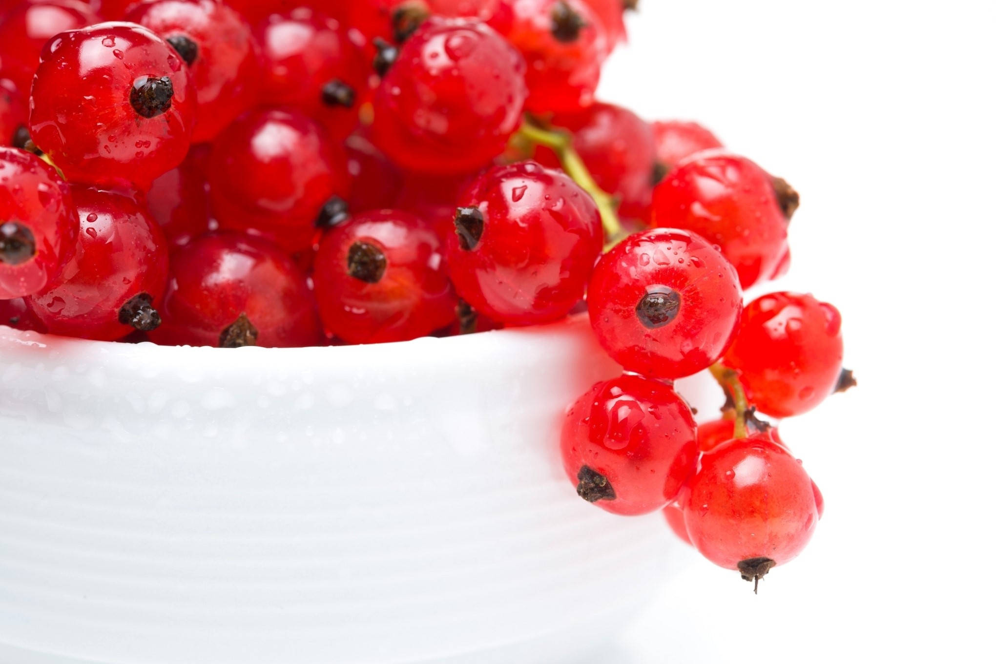 red currant berries, pristine white ceramic bowl, water droplets, Full HD Desktop Wallpaper