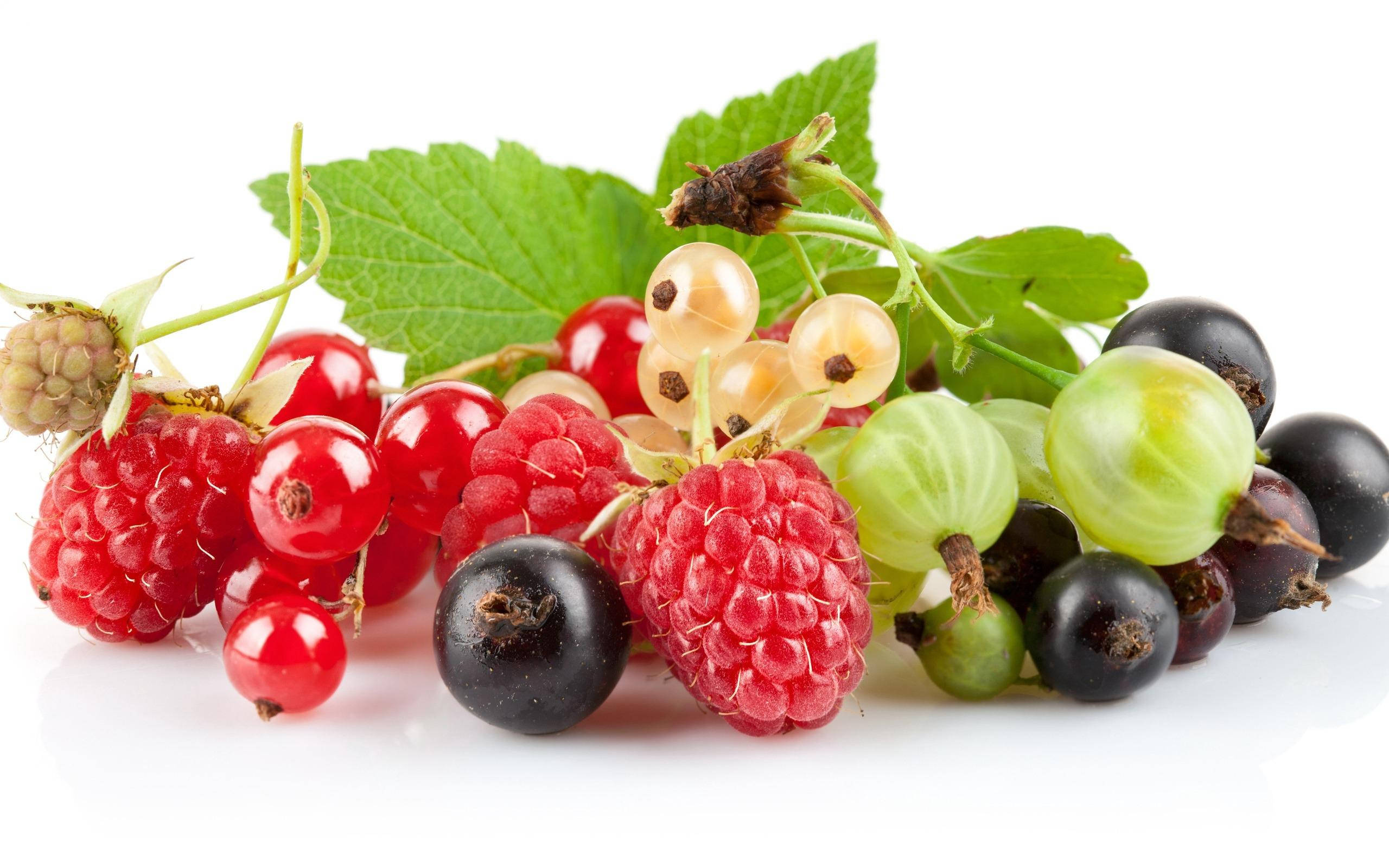 red raspberries, blackcurrants, green gooseberries, 2K Desktop Wallpaper