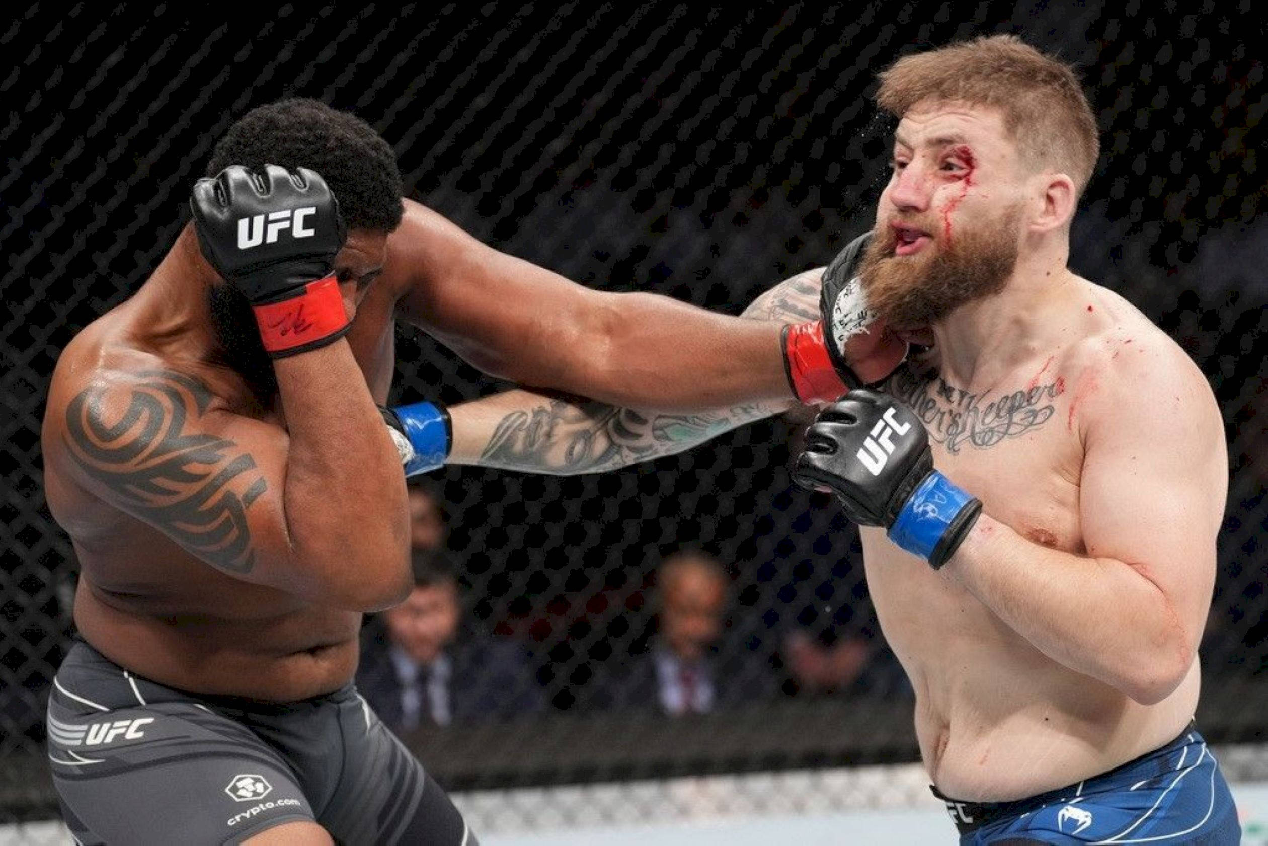 Curtis Blaydes, UFC fighters, octagon, Full HD Desktop Wallpaper