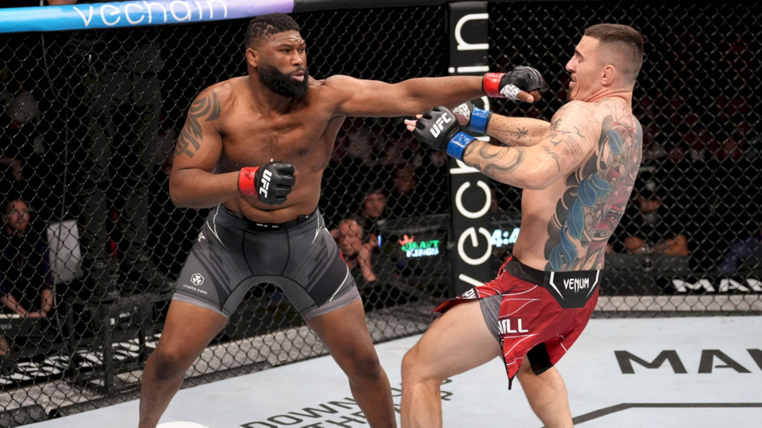 Curtis Blaydes, MMA fighters, cage match, Full HD Desktop Wallpaper