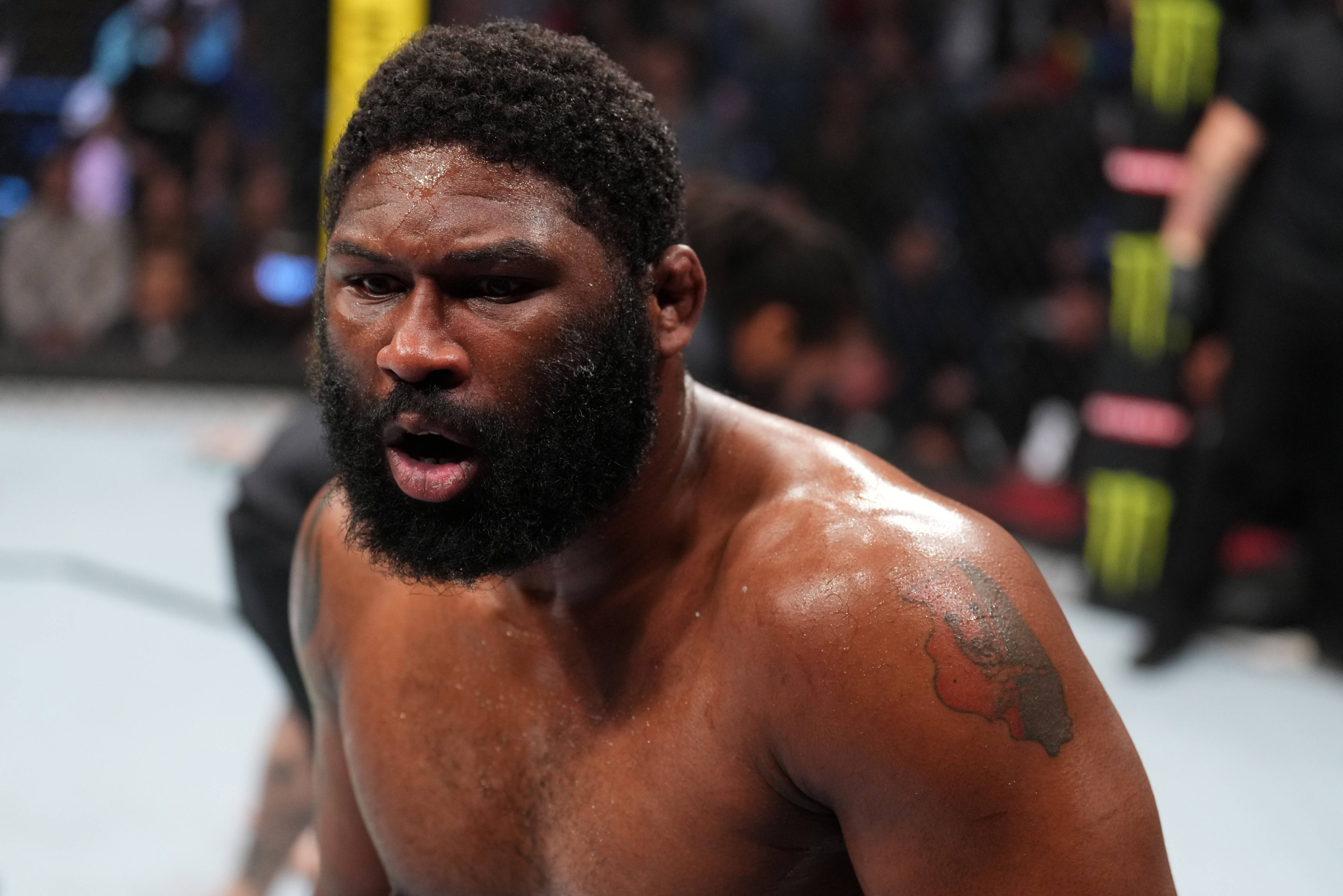 Curtis Blaydes, octagon, mixed martial arts match, 4K Desktop Wallpaper
