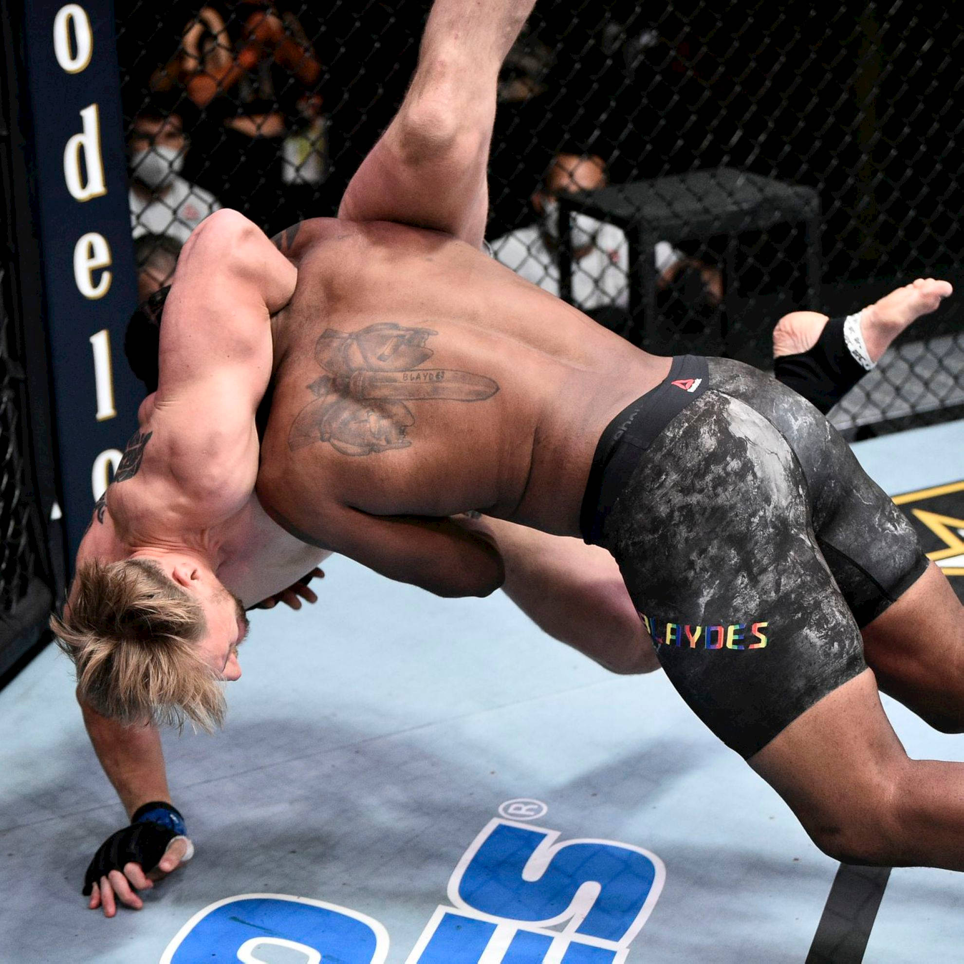 Curtis Blaydes, tackle slam, cage, Full HD Desktop Wallpaper