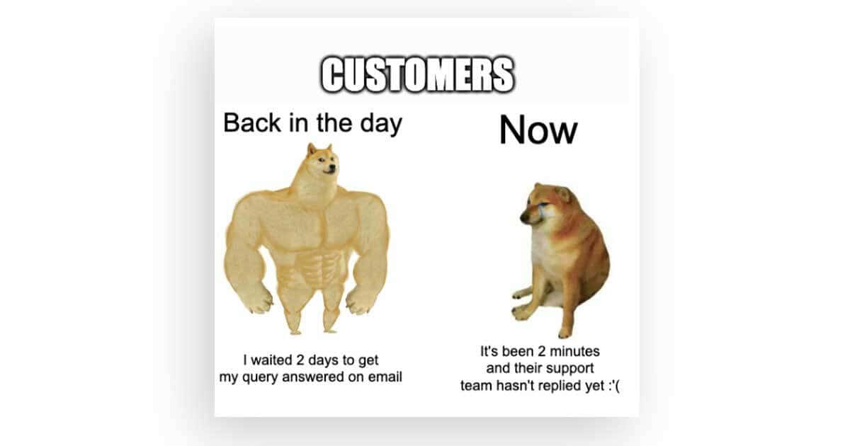 customer service memes, Shiba Inu dogs, muscular, SD Desktop Wallpaper