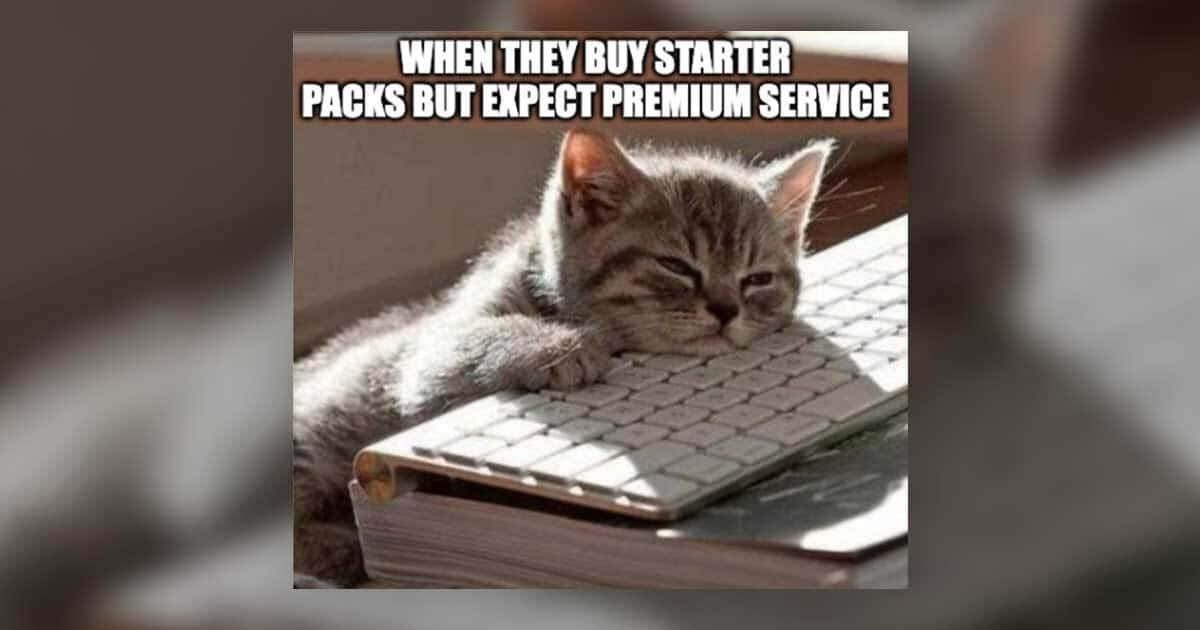 customer service memes, 1200 x 630 wallpaper, tabby kitten, SD Desktop Wallpaper