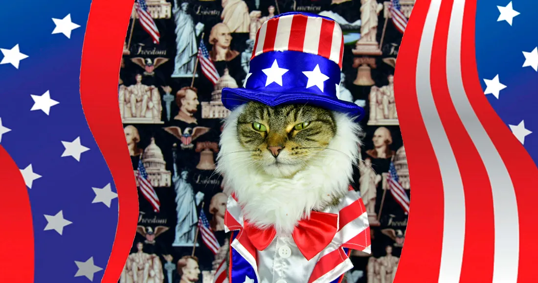 Cute 4th Of July