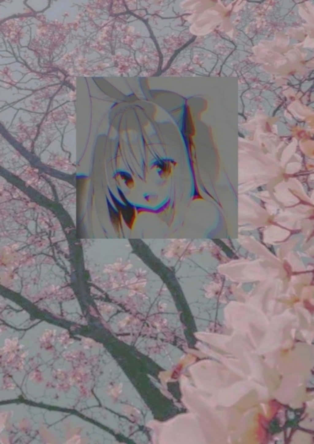 Cute Aesthetic Anime, anime girl, glitch effect, HD Phone Wallpaper