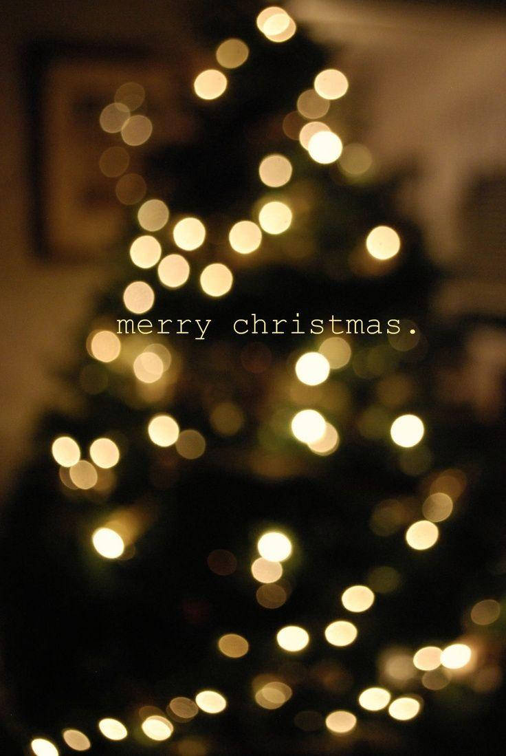 Cute Aesthetic Christmas, Christmas tree silhouette, bokeh lights, SD Phone Wallpaper