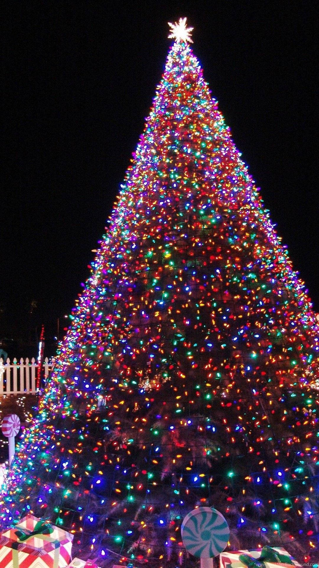 Giant Cute Aesthetic Christmas Tree, multicolored lights, dark night sky, Full HD Phone Wallpaper