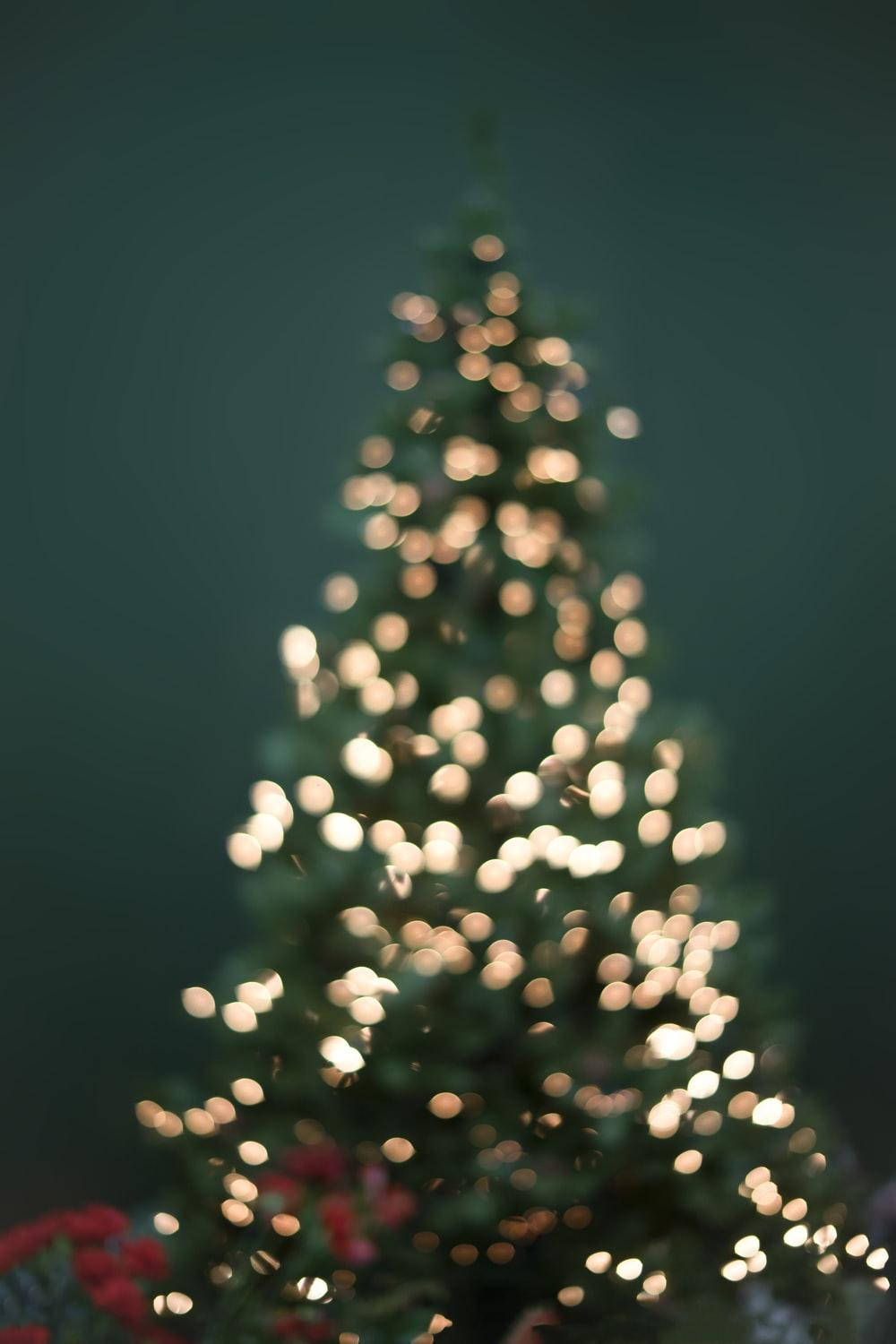 Cute Aesthetic Christmas Tree, glowing golden lights, deep green backdrop, HD Phone Wallpaper