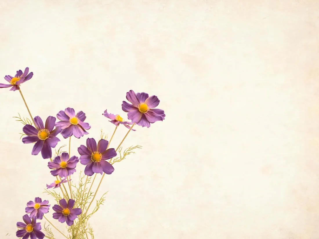 Cute Aesthetic Flower