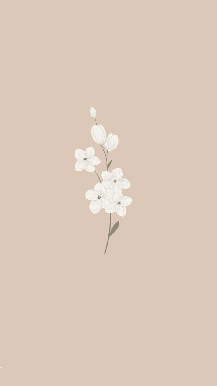 minimalist white flower branch, buds, leaves, HD Phone Wallpaper