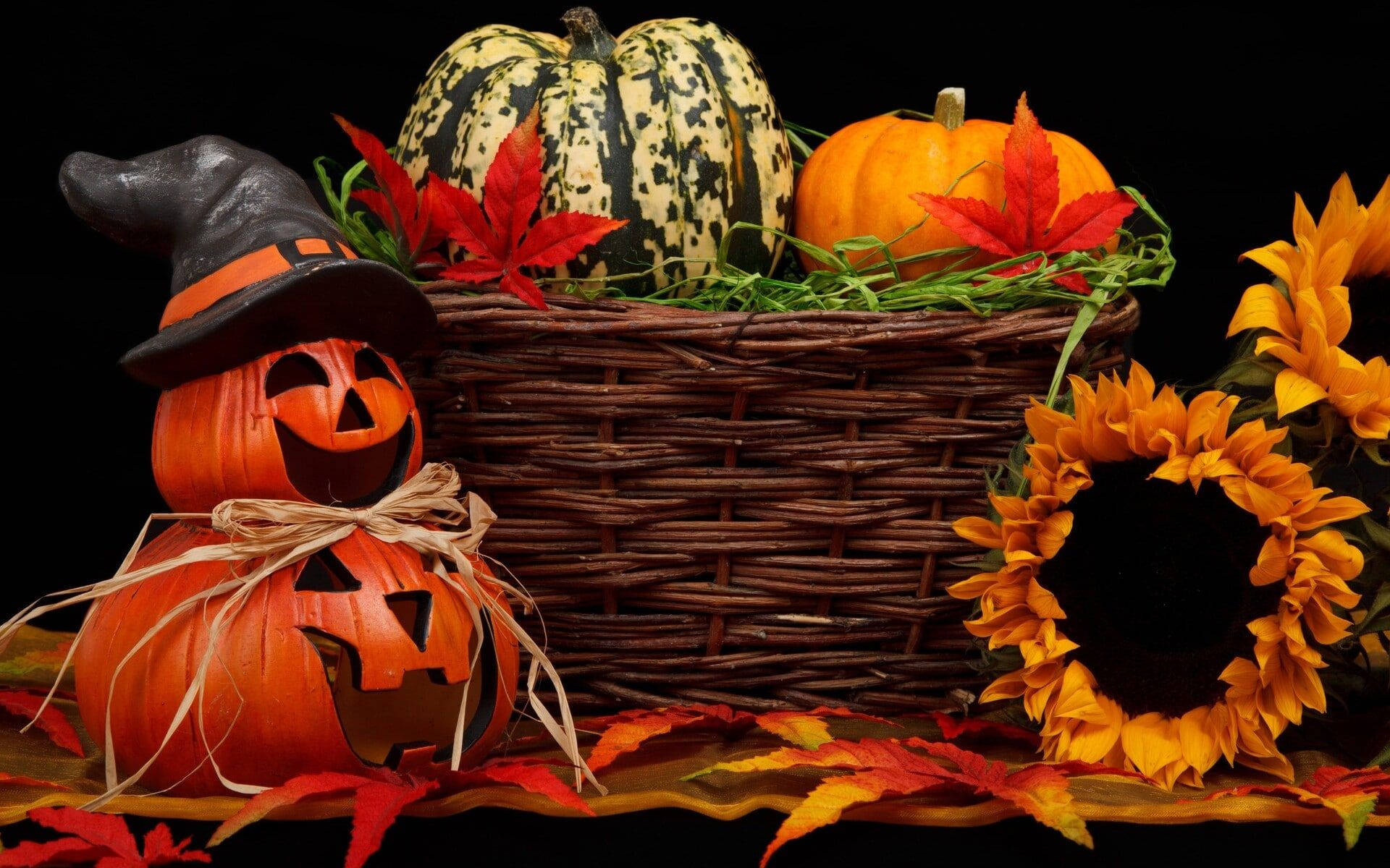jack-o'-lanterns, pumpkins, sunflowers, Full HD Desktop Wallpaper