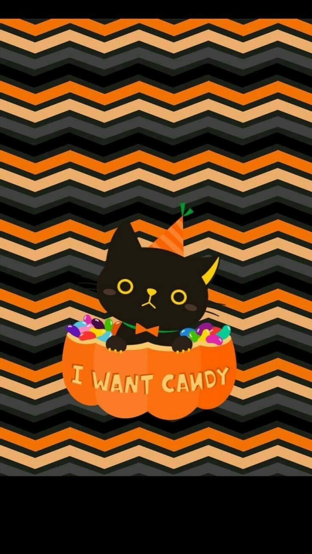 black cat, party hat, pumpkin, HD Phone Wallpaper