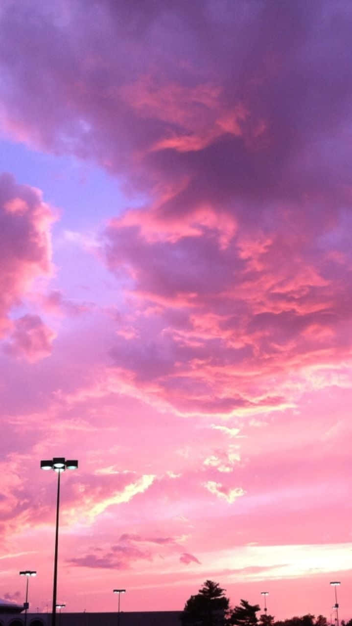 vibrant pink and purple sunset sky, dramatic clouds, silhouetted streetlights, HD Phone Wallpaper
