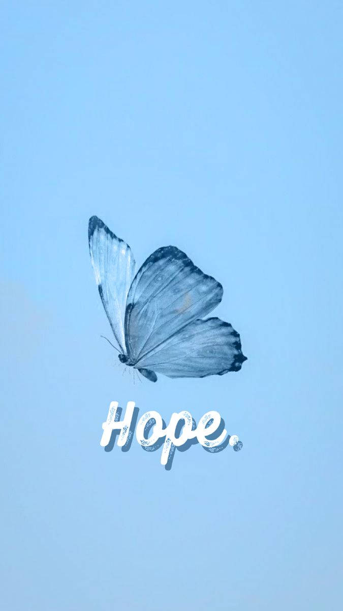 pastel blue, butterfly, soft sky blue background, SD Phone Wallpaper