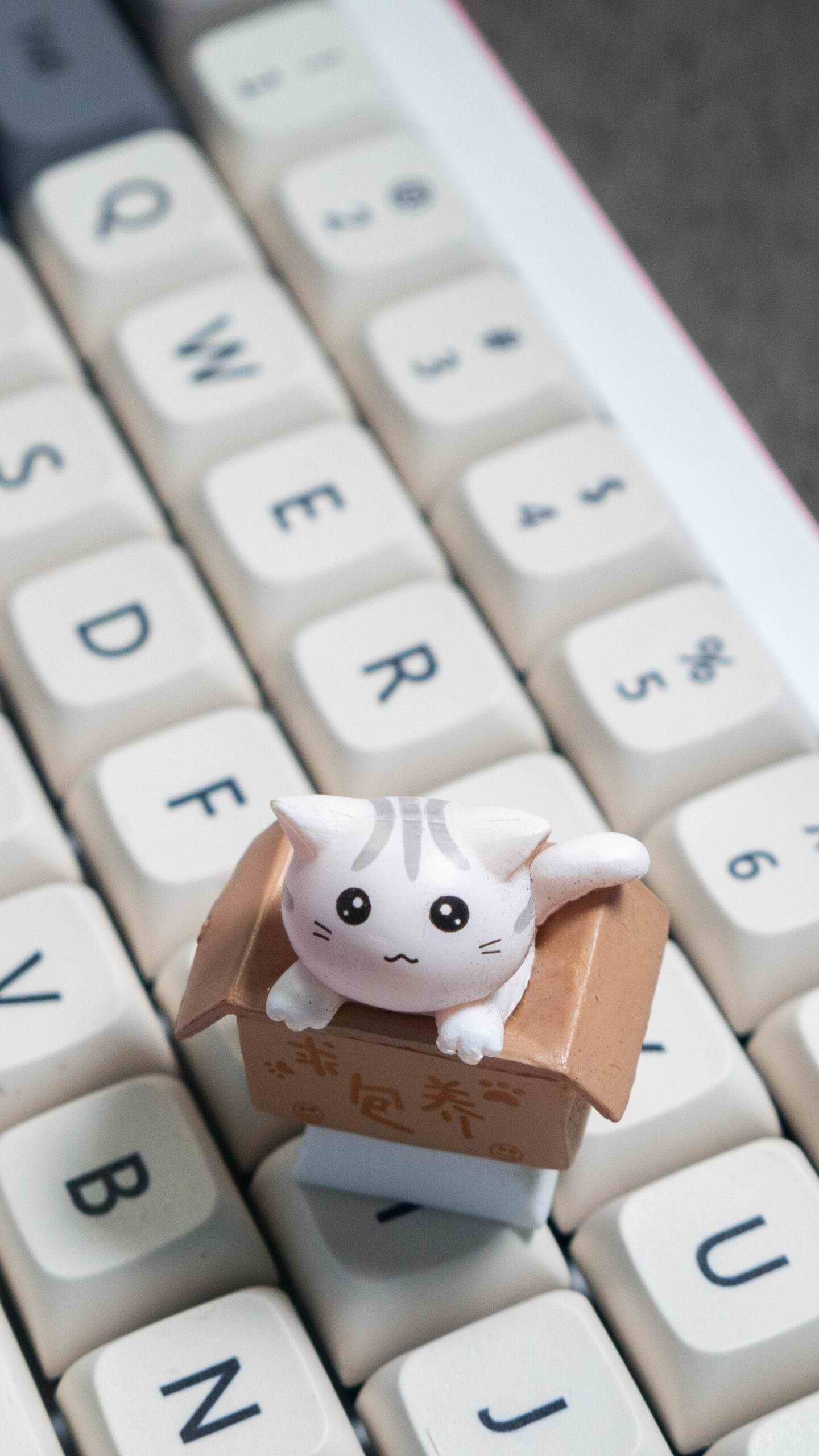 cute cat key cap aesthetic phone, white cat figurine, cardboard box, 2K Phone Wallpaper