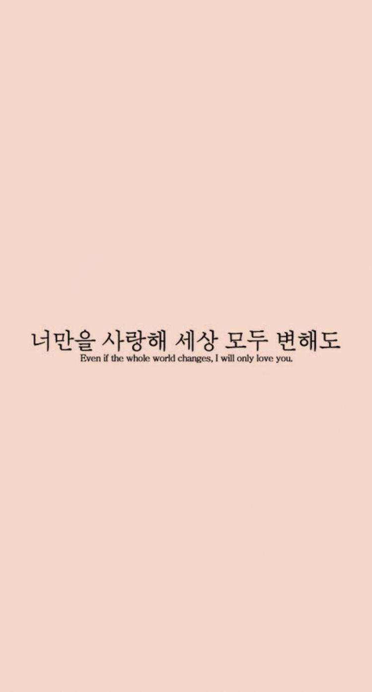 peach background, Korean text, English translation, HD Phone Wallpaper