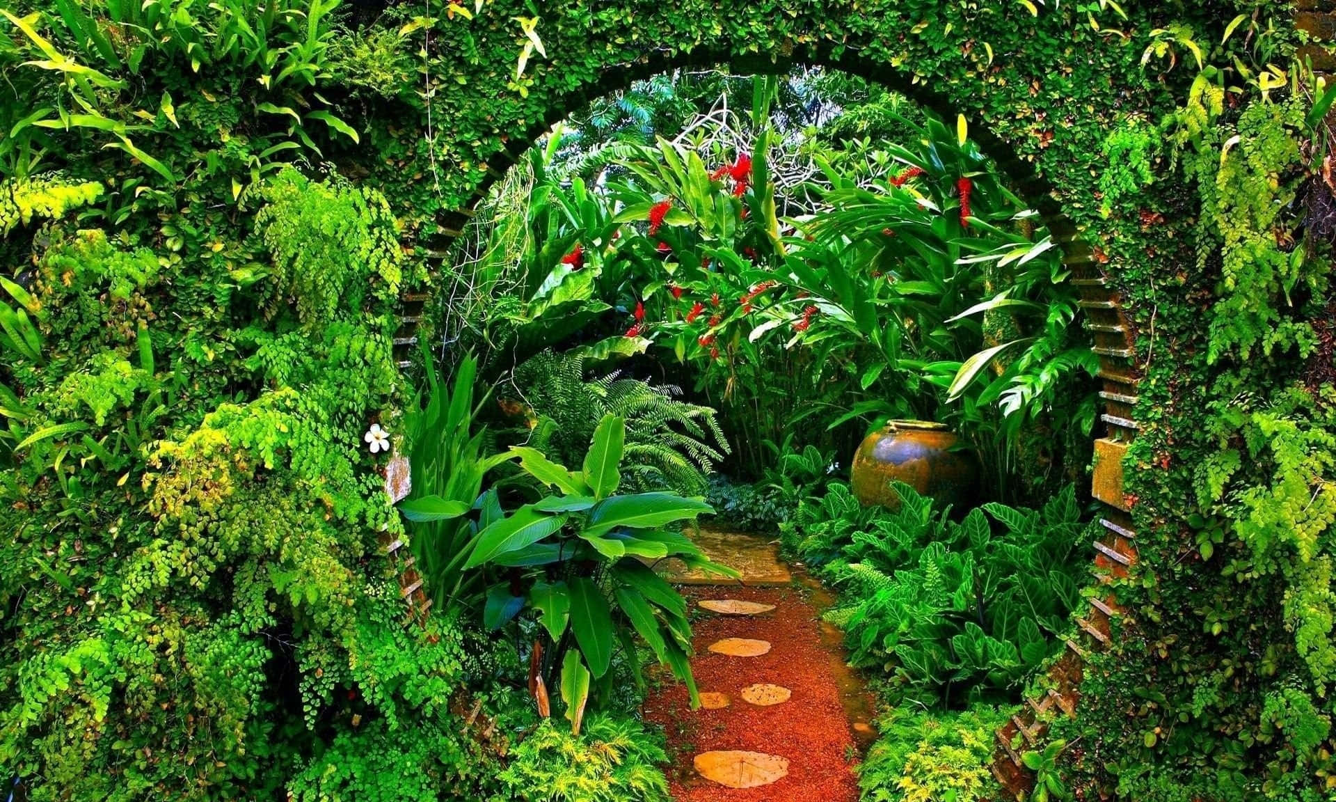 cute aesthetic plant, lush green archway, vibrant jungle path, Full HD Desktop Wallpaper