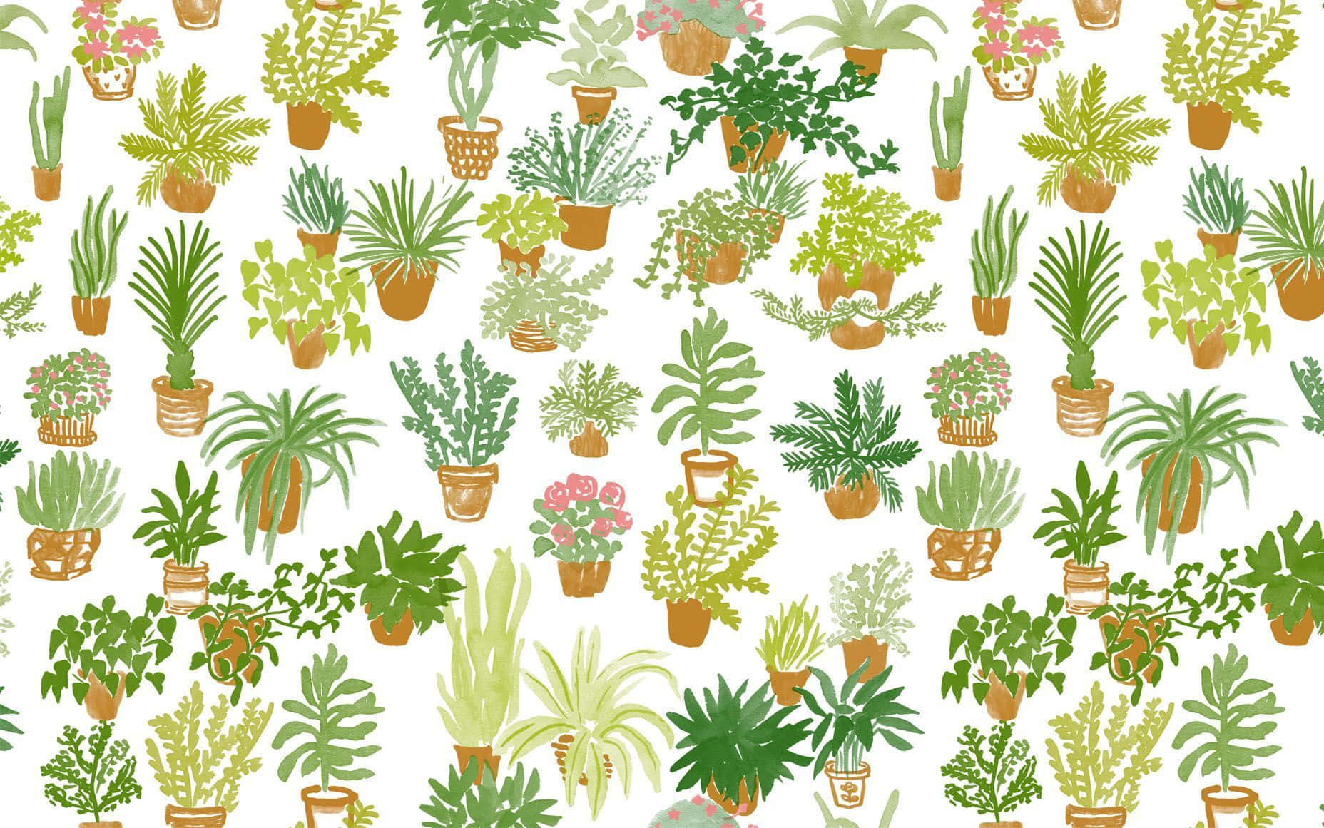 cute aesthetic plant, green, terracotta pots, HD Desktop Wallpaper