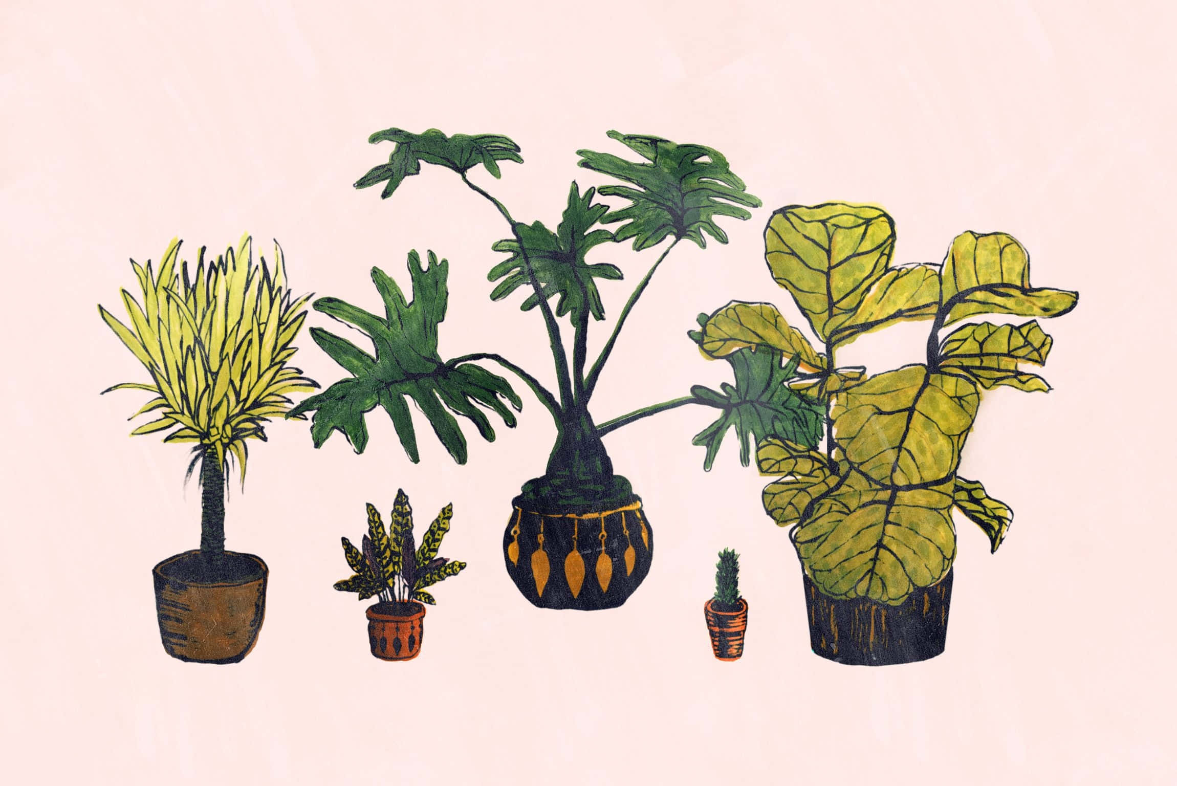 Serene Green, Aesthetic Plant, five potted houseplants, Full HD Desktop Wallpaper