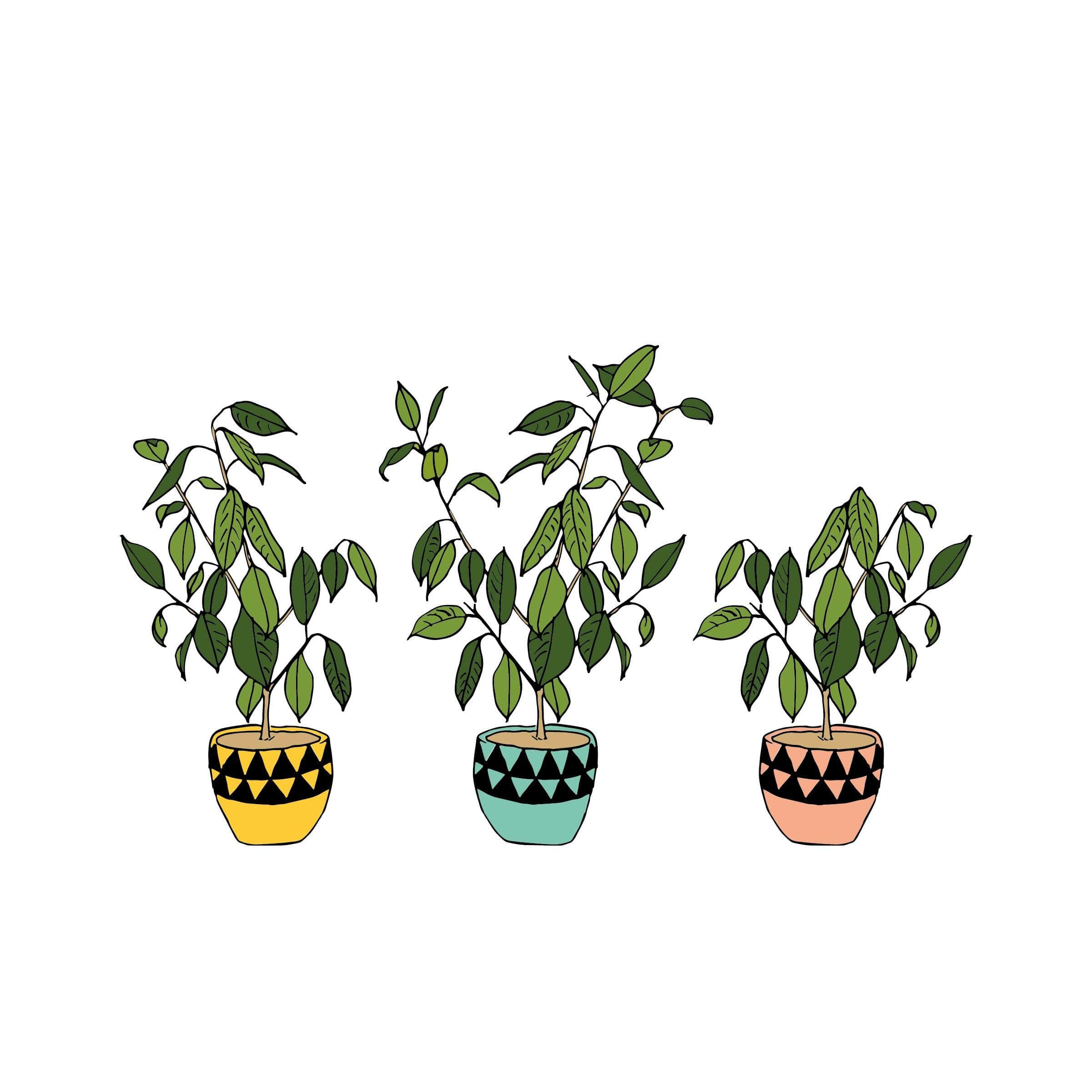 cute aesthetic plant, yellow, blue, Full HD Desktop Wallpaper